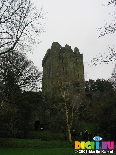 24795 Blarney Castle North Wall